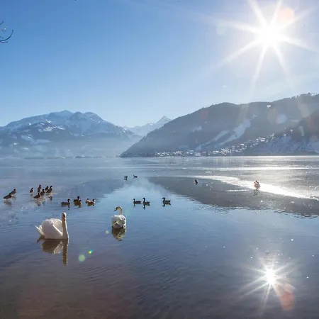 Dahoam By Sarina - Village * Zell am See