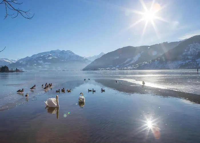 Dahoam By Sarina - Village * Zell am See